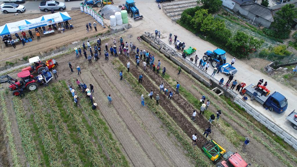 합천군, 마늘 기계수확 연시회 및 장비특성교육 실시