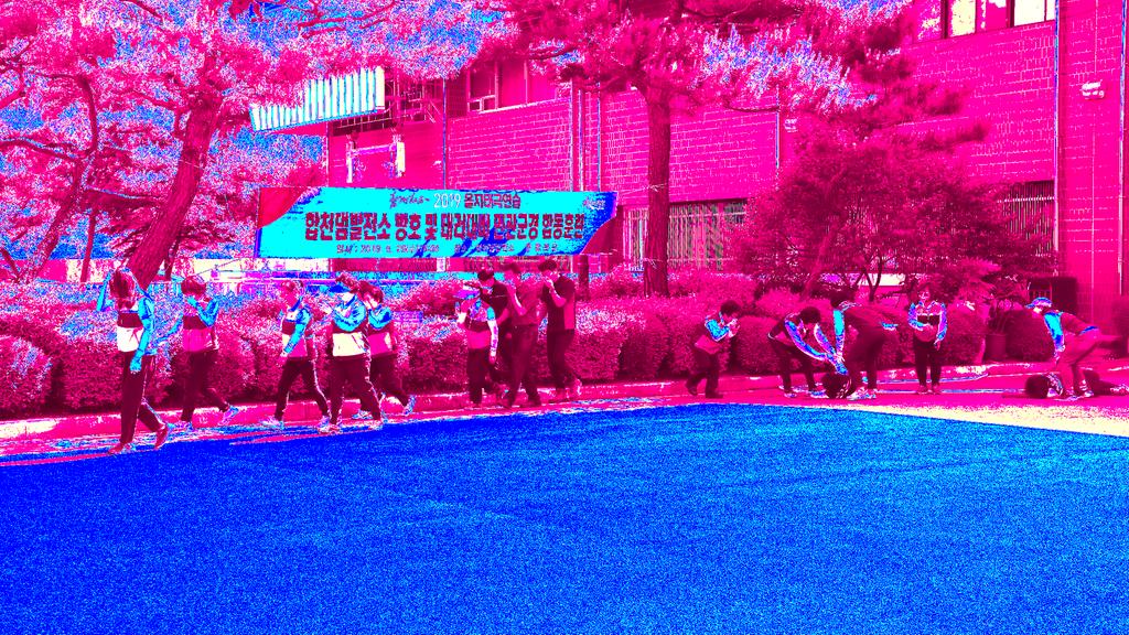 합천군 2019년 을지태극연습 실제훈련 실시