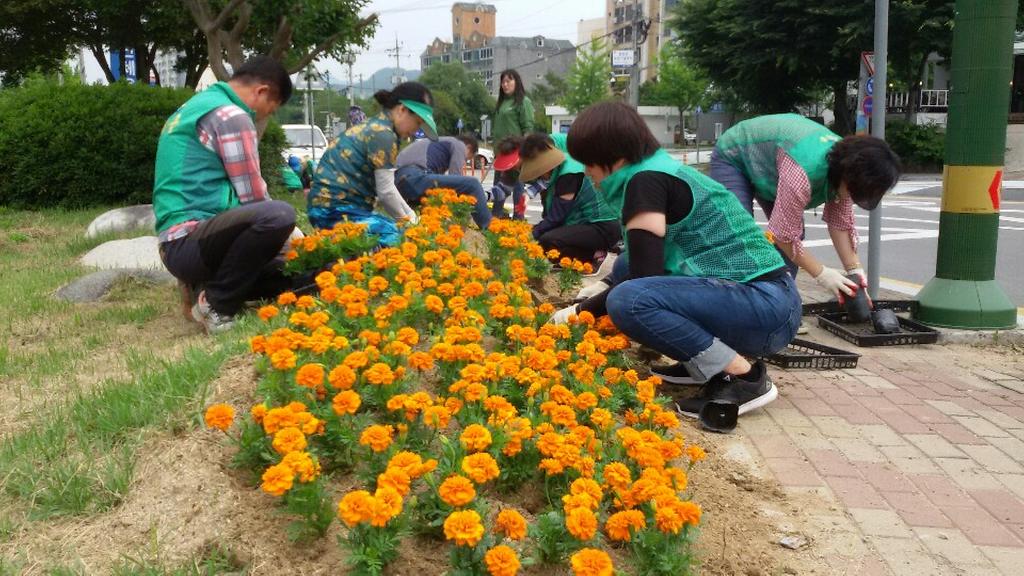 새마을운동합천군지회, 산뜻한 여름맞이 꽃 식재