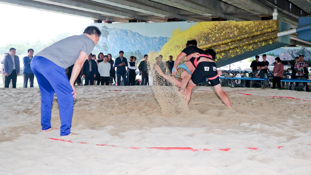 2019년 합천군 씨름왕 선발전 겸 합천군 초·중·고 씨름대회