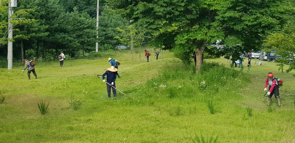 가회면 축구회‧족구회 환경정비활동 실시
