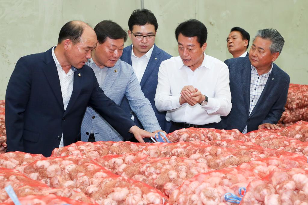 합천군, 농산물 산지 공판장 마늘경매 본격 시작