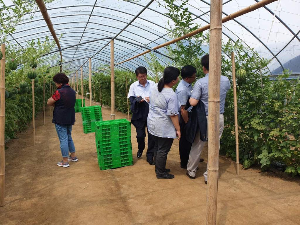 애플수박 명품화단지 조성사업 평가회 개최