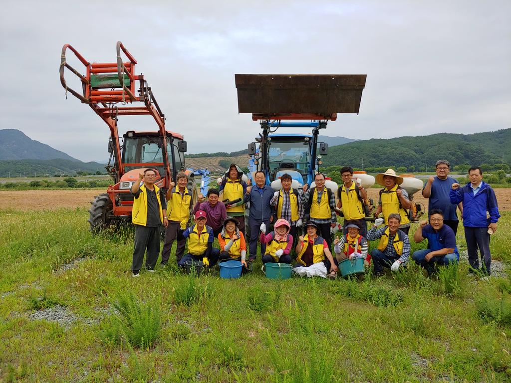 용주면 주민자치위원회 꽃단지 조성 봉사 활동 실시