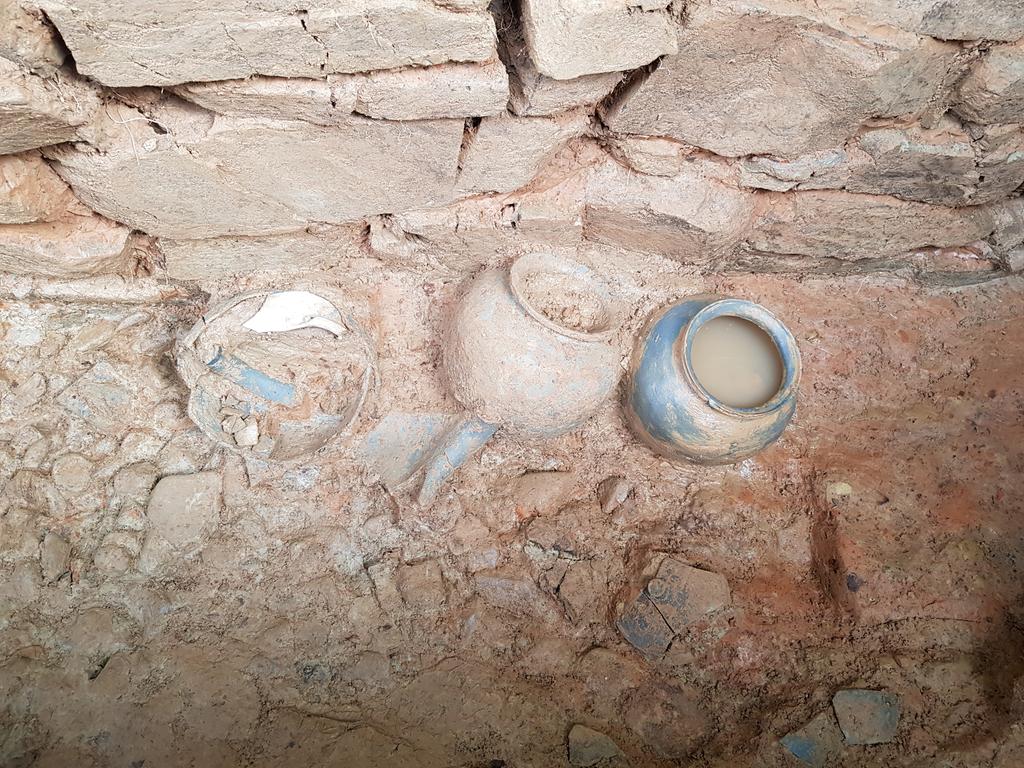 합천 삼가고분군 24호분 정밀발굴조사 학술자문회의 개최