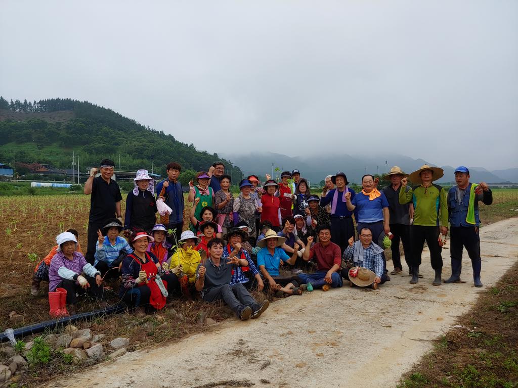 합천군 용주면 사회단체 회원들 꽃단지 조성 봉사 활동 실시 