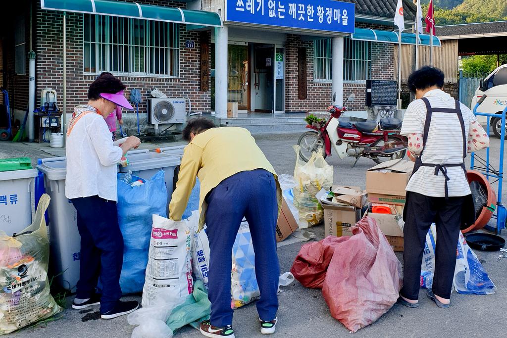 적중면 황정마을 대청소 실시