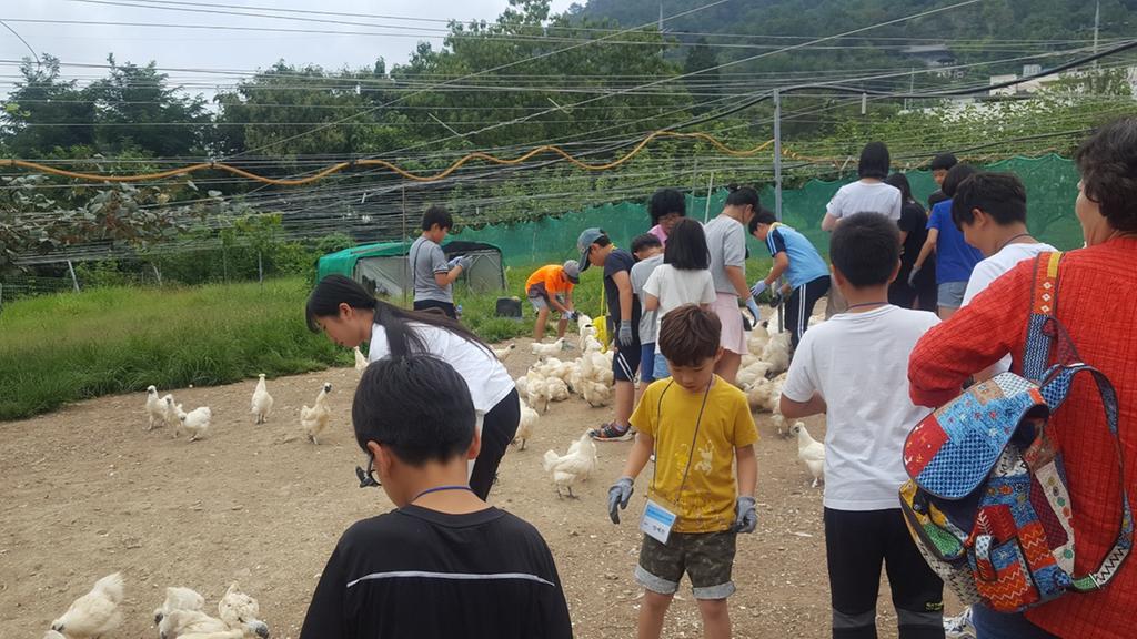 바르게살기운동합천군협의회여성회, 한부모가정 자녀와 함께하는 문화체험의 장 마련