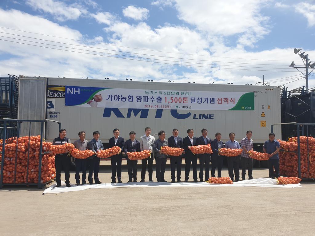 합천군! 양파 수출 역대 최대!