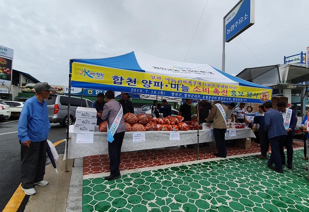 합천군, 양파 사주기 범군민 동참 이끌어내