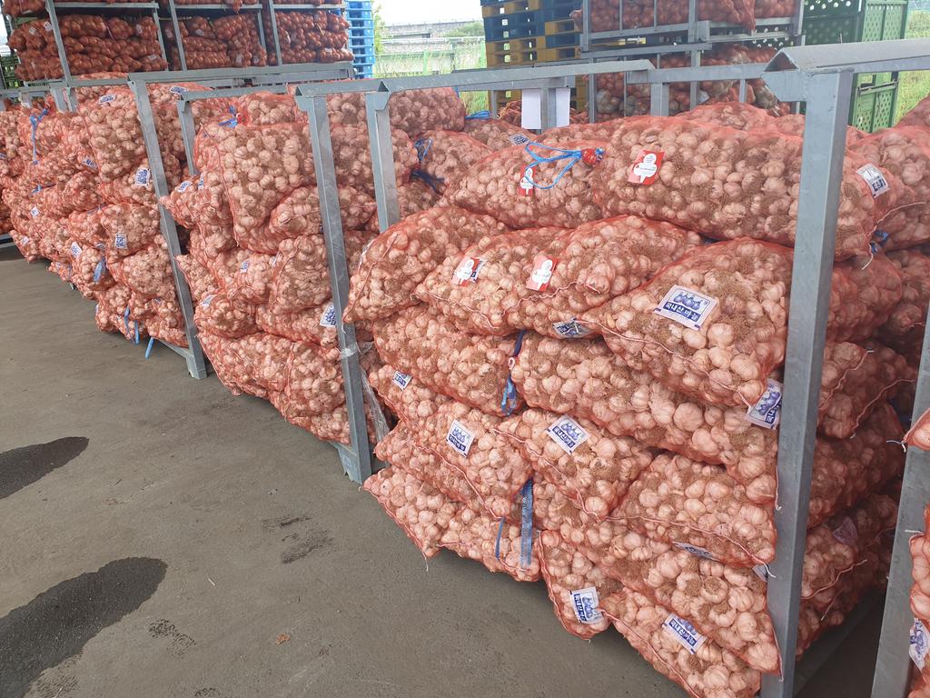 합천군 마늘주아재배연구회 김광호 이장, 마늘 444망 기탁