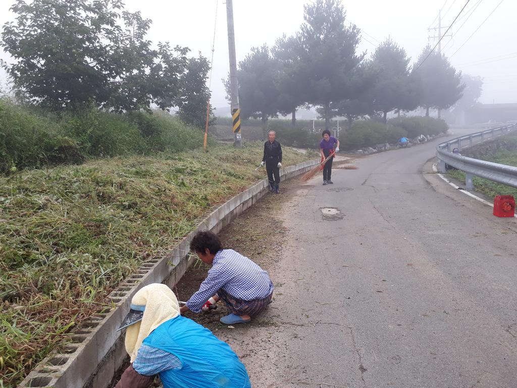 적중면 추석맞이 마을대청소 전개