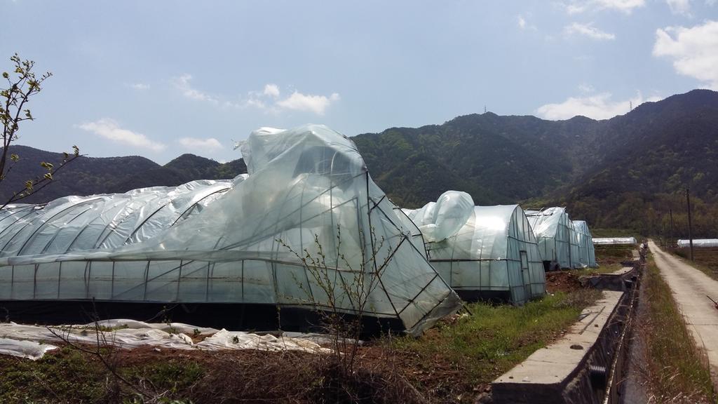 합천군, 가을장마와 태풍 등 농업피해 예방 총력 대응