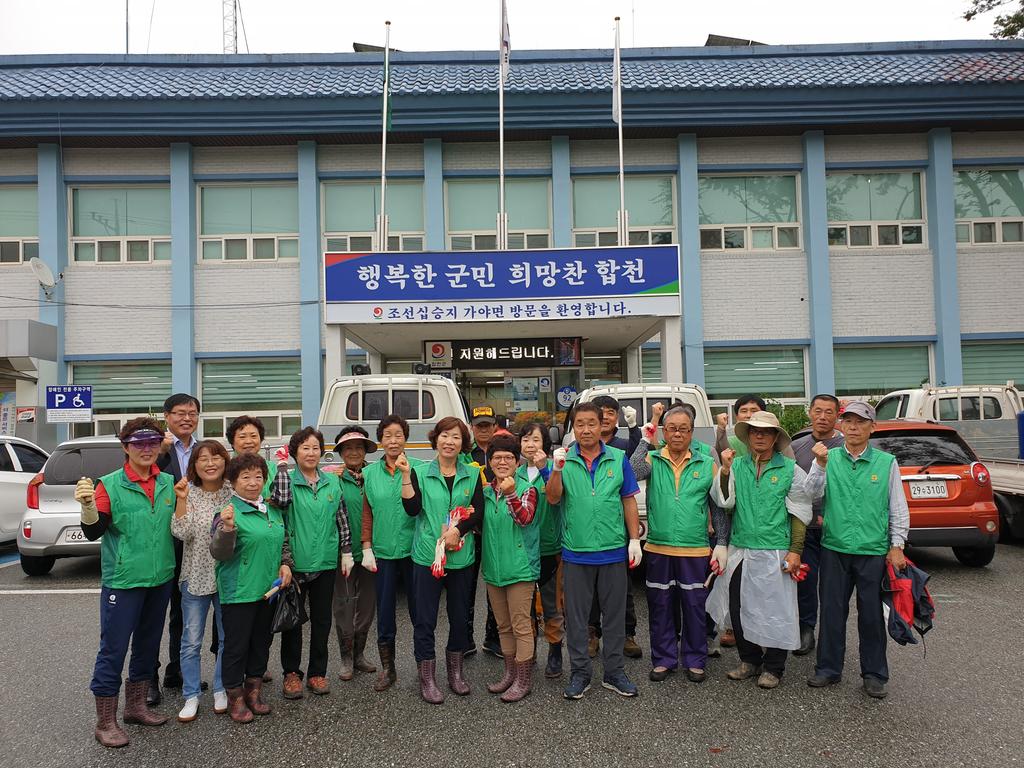 가야면 새마을협의회 가로변 추석맞이 가을꽃 새단장