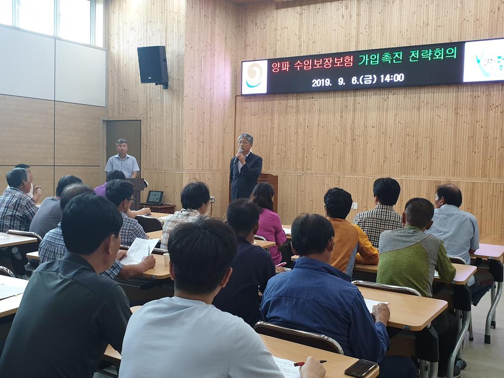합천군, 양파 수입보장보험 가입촉진 전략회의 개최