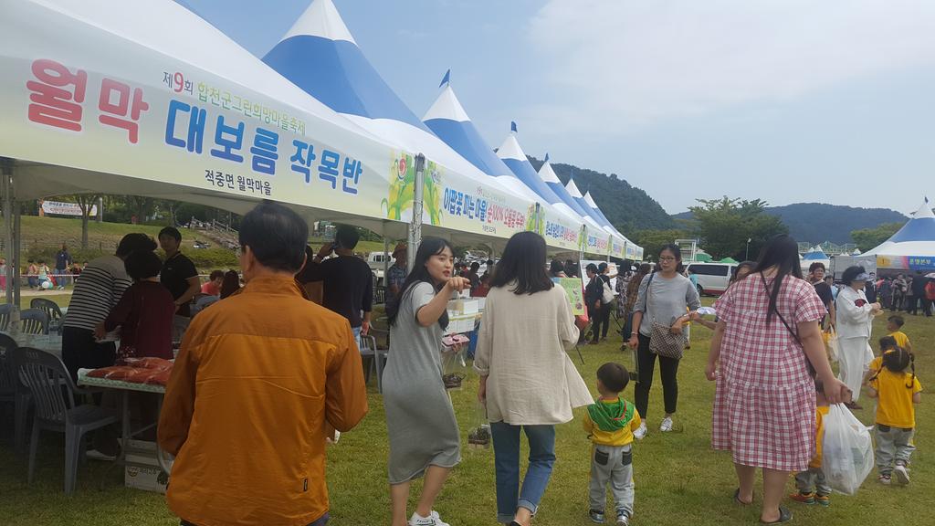 제9회 합천군 그린 희망마을축제 개최     