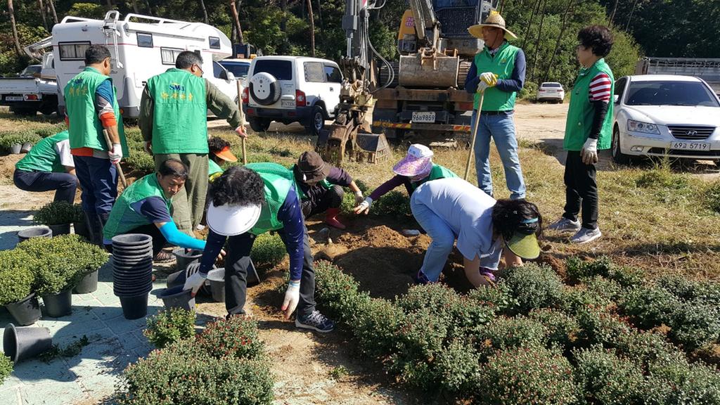 새마을운동합천군지회, 합천기록문화축제 맞이 아름다운 합천가꾸기 실시
