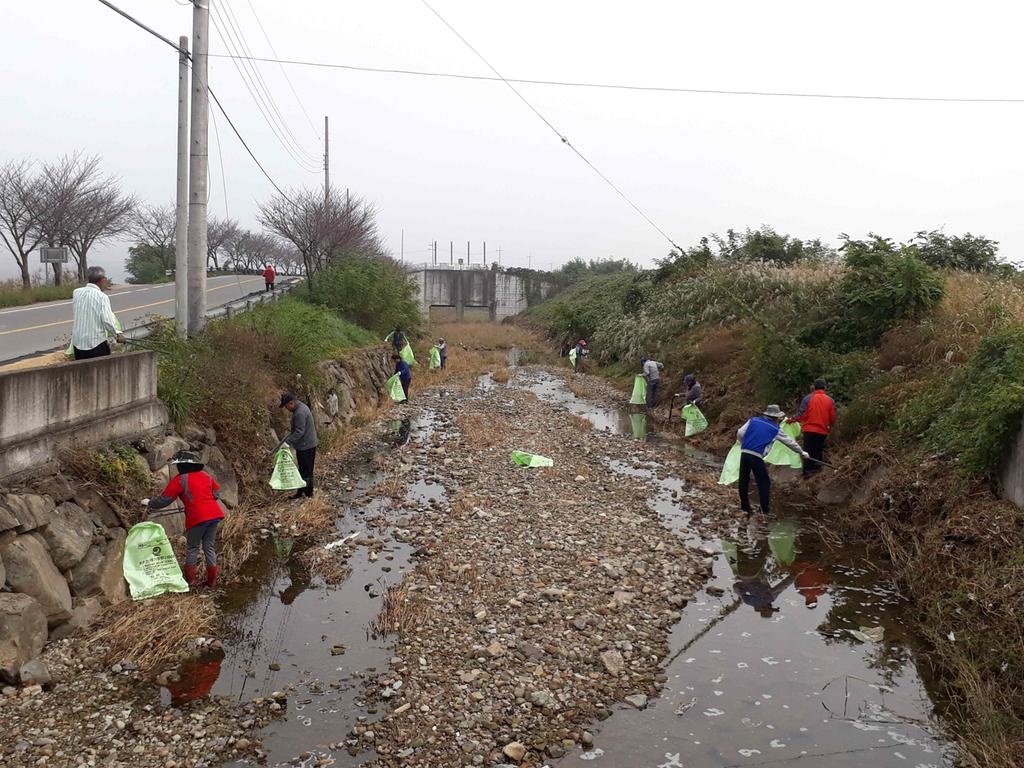 적중면 하천쓰레기 대대적 수거 