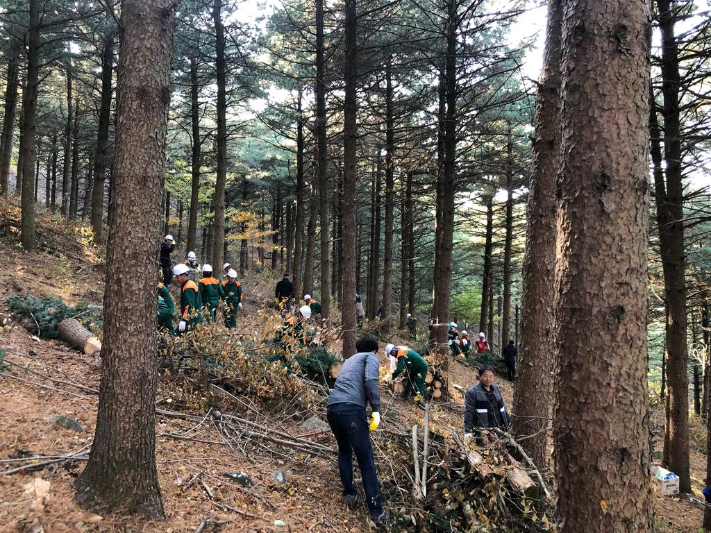 합천군, 2019년 숲가꾸기 1일 체험 행사 가져