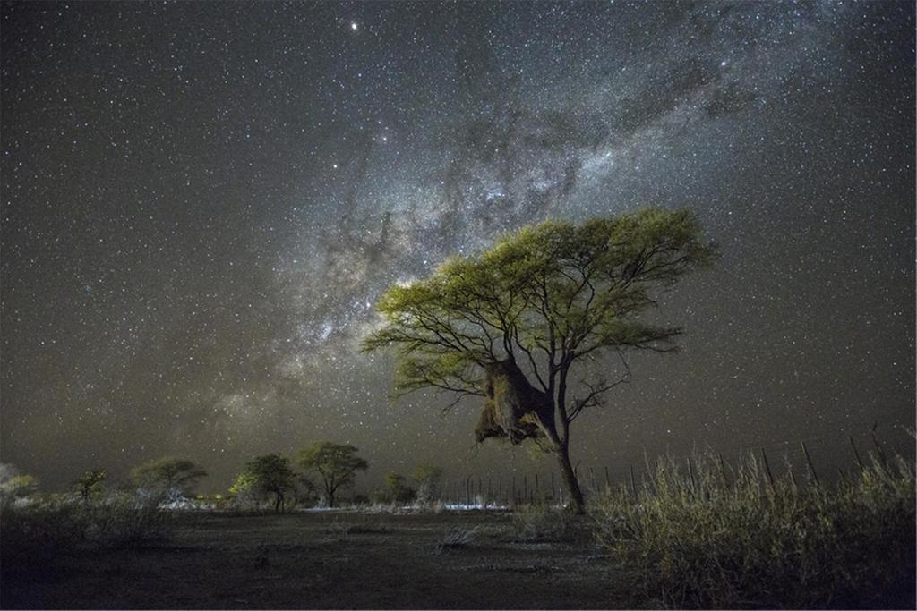합천박물관 김유진 교수 사진전《Emotional Night & Light–상반(相伴,相反)의 빛》개최