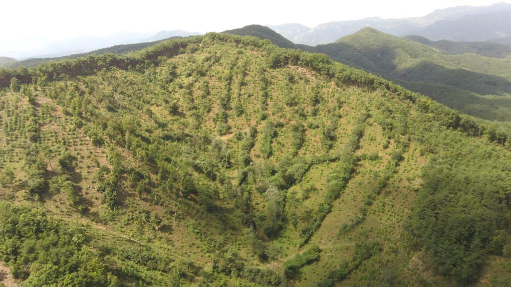 합천군, 2019년 우리가 키운 우수조림지 우수기관 선정