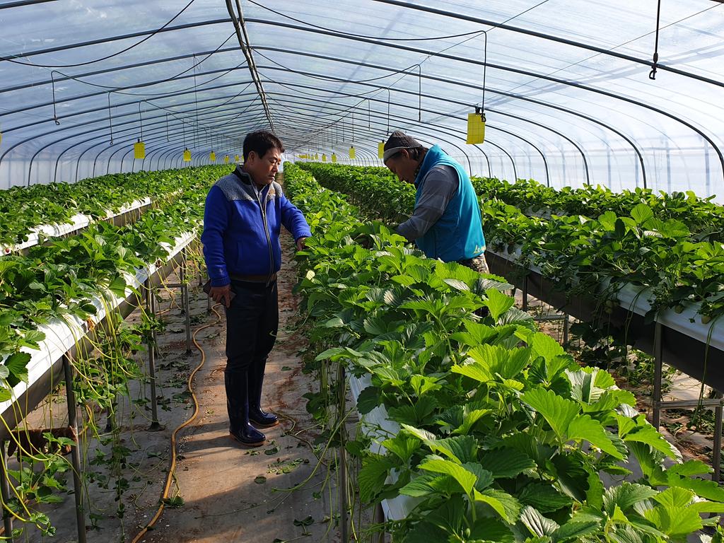 삼가면, 겨울철 자연재난대비 찾아가는 행정지도·점검 실시