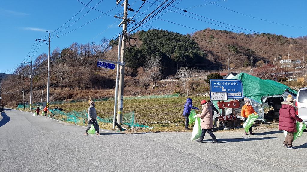 가야면 마장동새마을부녀회 환경정화활동 실시
