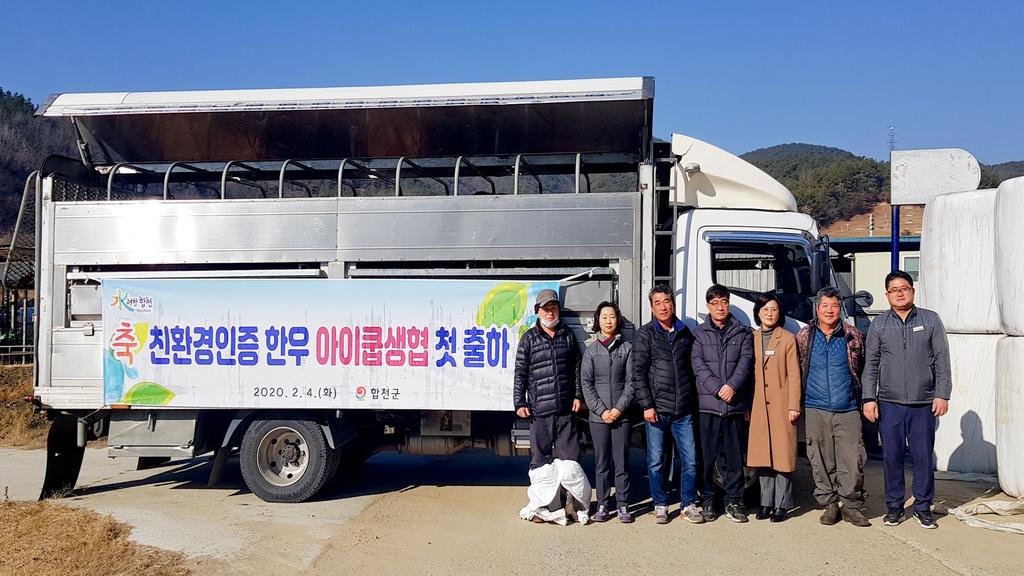 합천군, 친환경인증 한우 아이쿱생협 첫 출하