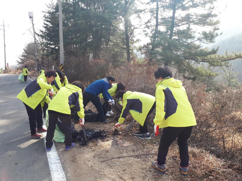 가회면 주부민방위기동대 환경캠페인 실시