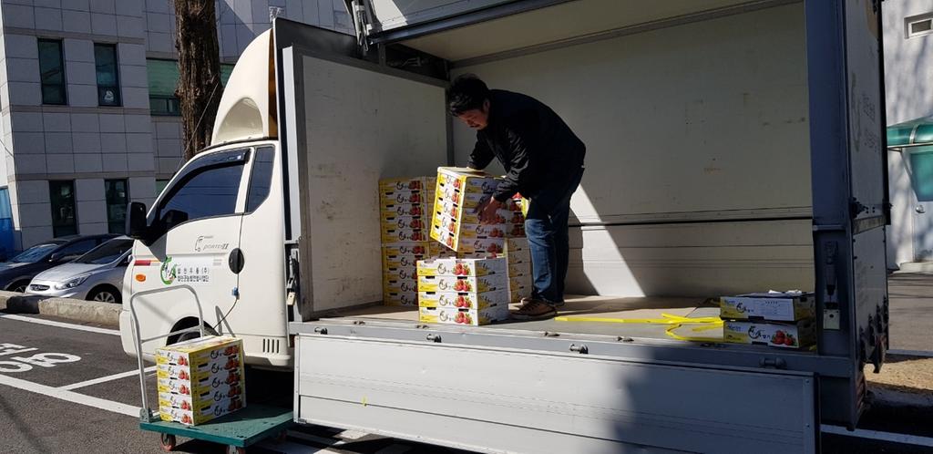 합천군, 코로나19 극복 위해 딸기 사주기 운동 동참