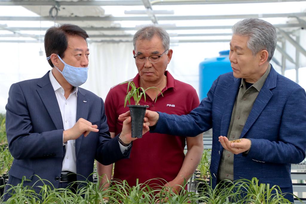 합천군, 한국춘란 선물용 시장 개척 순항