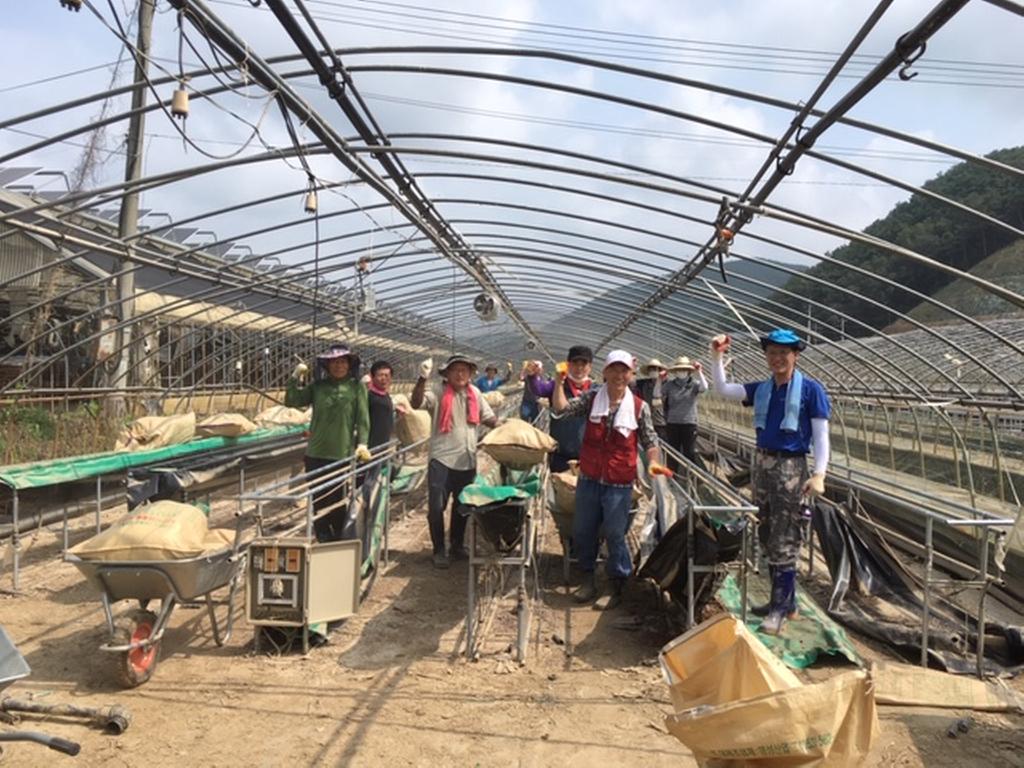 가야면 사회단체협의회, 폭염 속 수해복구 지원에 총력