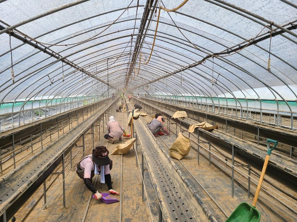 합천군 정심회, 폭염에도 수해피해 봉사활동에 ‘구슬땀’