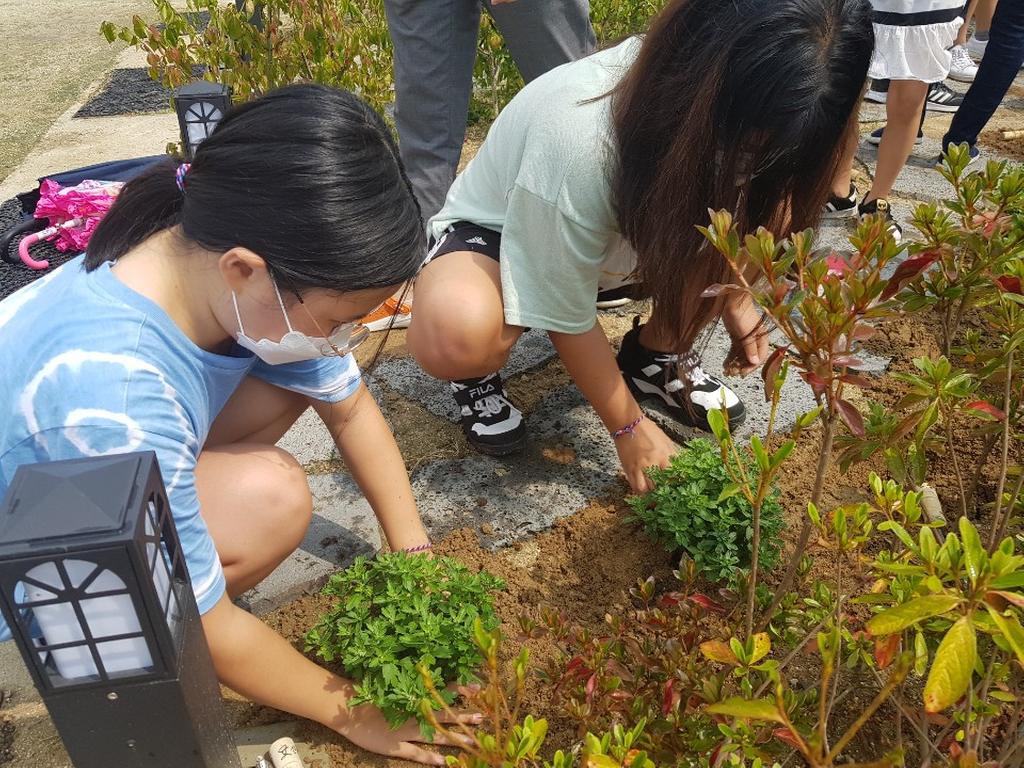 묘산 초등학교 가을국화 꽃 심기 행사 열어