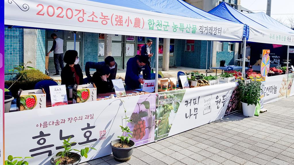 합천군 강소농 직거래장터 운영 성료