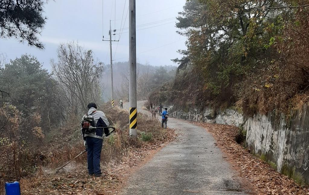 묘산면 청년회, 산불취약지 인화물질 제거활동 펼쳐