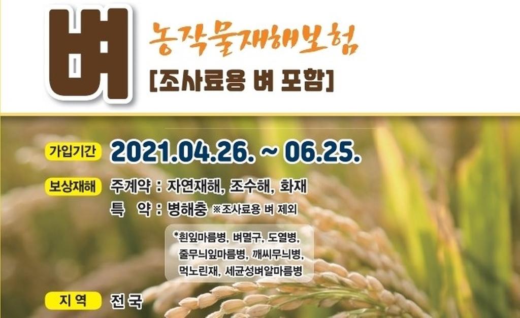 예측불가 자연재해, 재해보험이 지켜요!