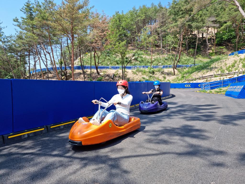 자연과 함께 숲속에서 즐긴다‘합천 루지’