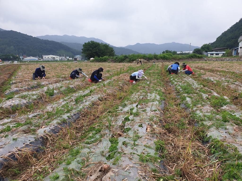 야로면, 재무과 직원