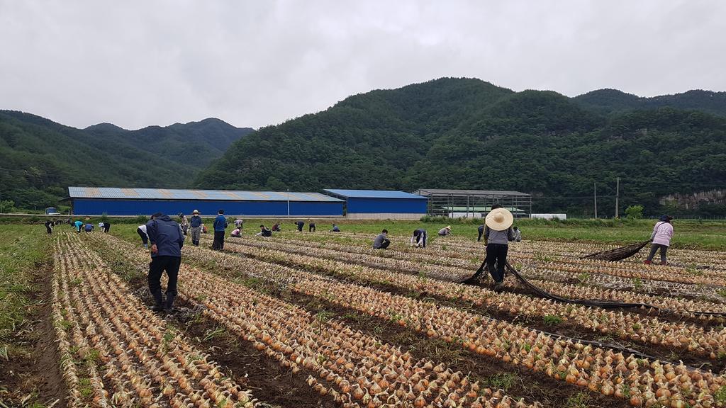 가회면, 상하수도과, 산림과 직원