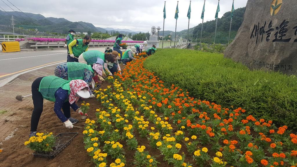 새마을운동합천군지회, 분위기 전환 여름꽃 식재 