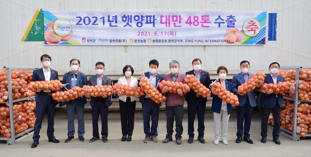 합천군 햇양파 대만 수출 본격 돌입