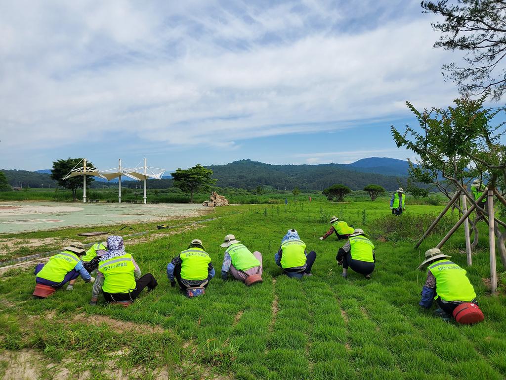 합천시니어클럽, 노인일자리사업“우수기관”선정