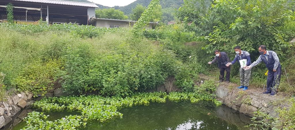 야로면, 해충없는 쾌적한 야로만들기 적극 추진