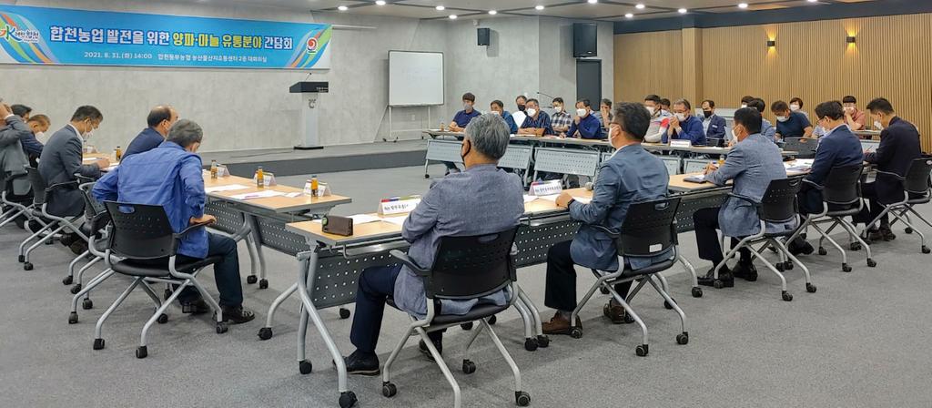 합천농업 발전을 위한 마늘·양파 유통분야 간담회 개최