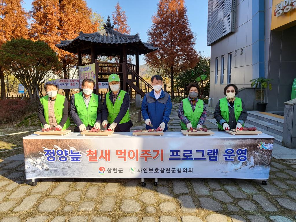 합천군 자연보호합천군협의회, 정양늪 철새 먹이주기 활동