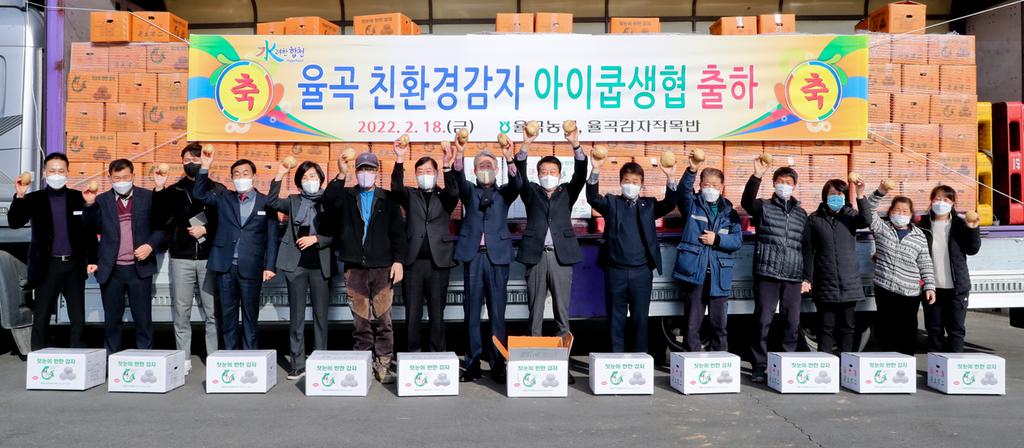 합천군, 친환경감자 아이쿱생협 첫 출하