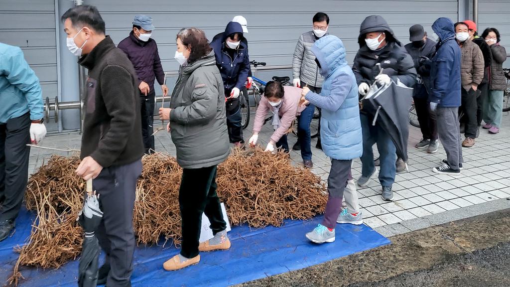 합천군, 22년 나무나누어주기 행사 추진