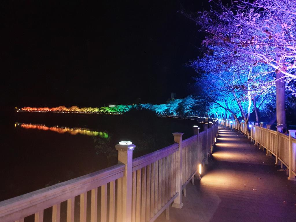 합천군 백리벚꽃길 빛의 밸리 야간경관조명 점등