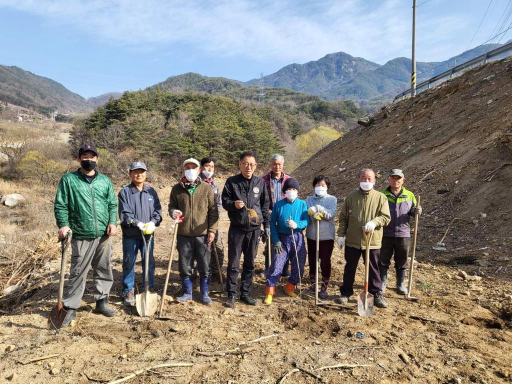 봉산면 상현마을 주민 나무심기 행사 펼쳐